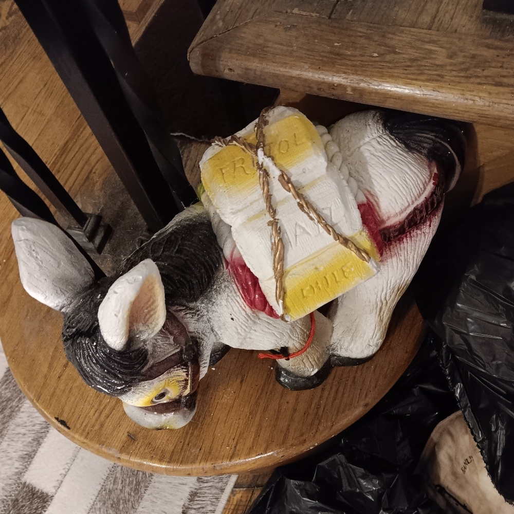 Dominic the Donkey
